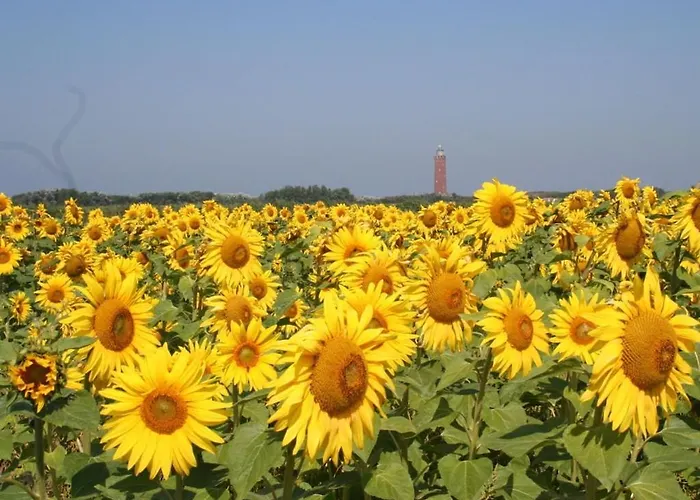 Huijsmansverhuur Type Premium De Luxe Grevelingen 13 Casa vacanze Ouddorp