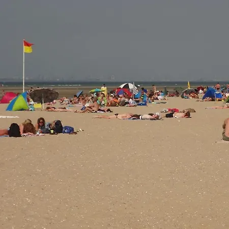 Huijsmansverhuur Type Premium De Luxe Grevelingen 13 Ауддорп